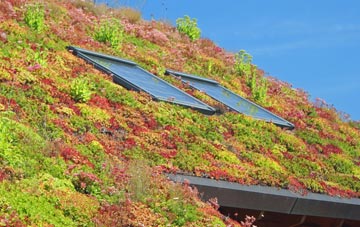 Tangiers living roof systems